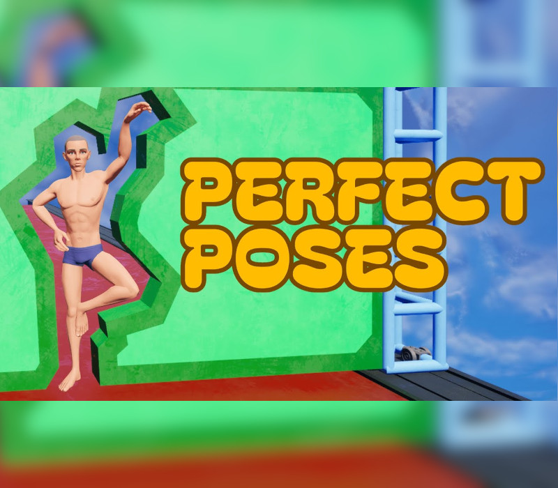 Perfect Poses Steam CD Key Logo