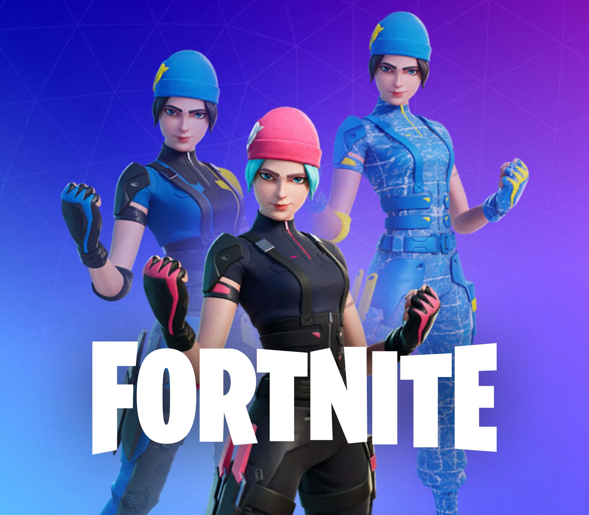Fortnite - Wildcat Bundle DLC EU Nintendo Switch CD Key Logo