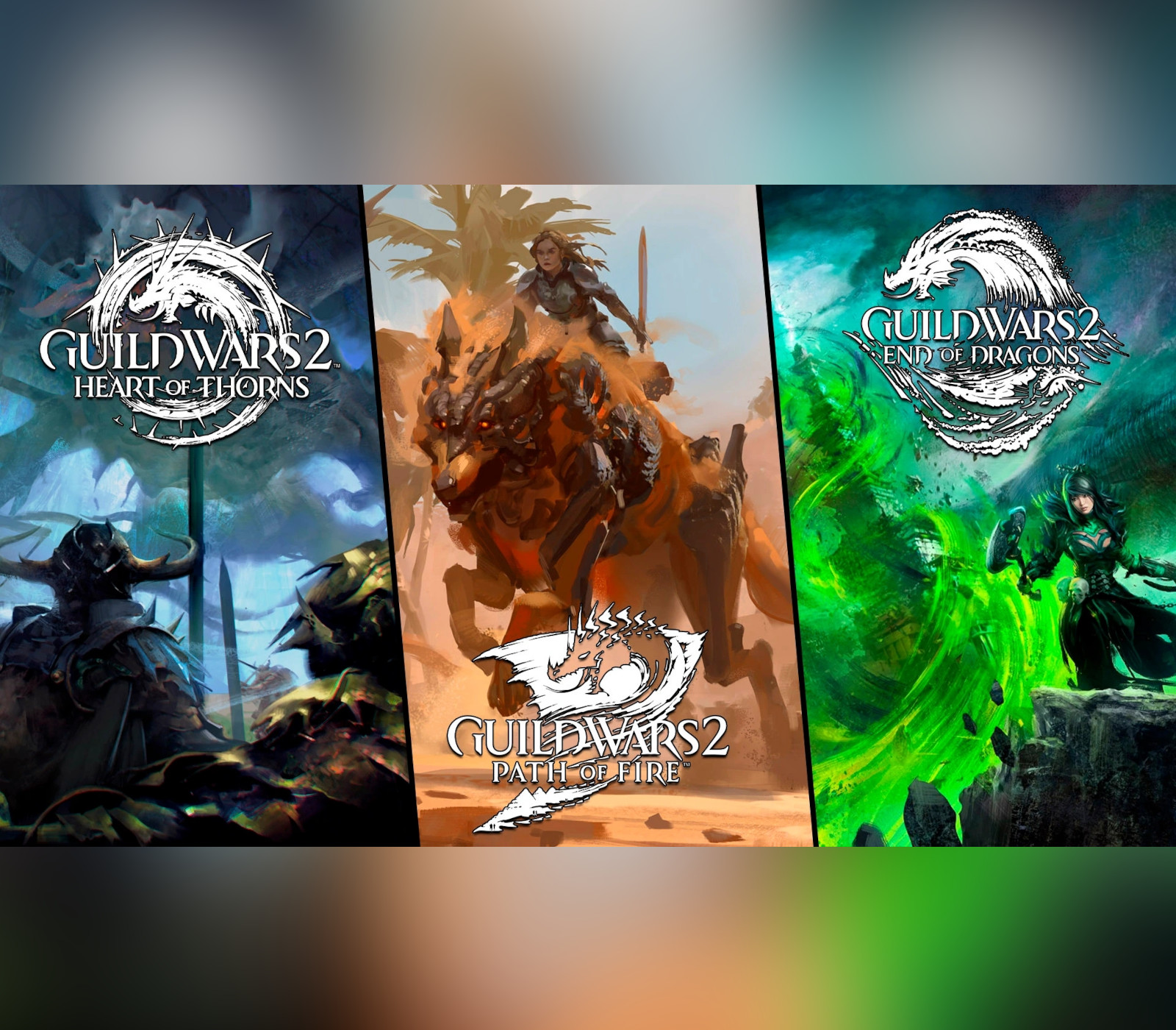 Guild Wars 2: Elder Dragon Saga Collection Digital Download CD Key Logo