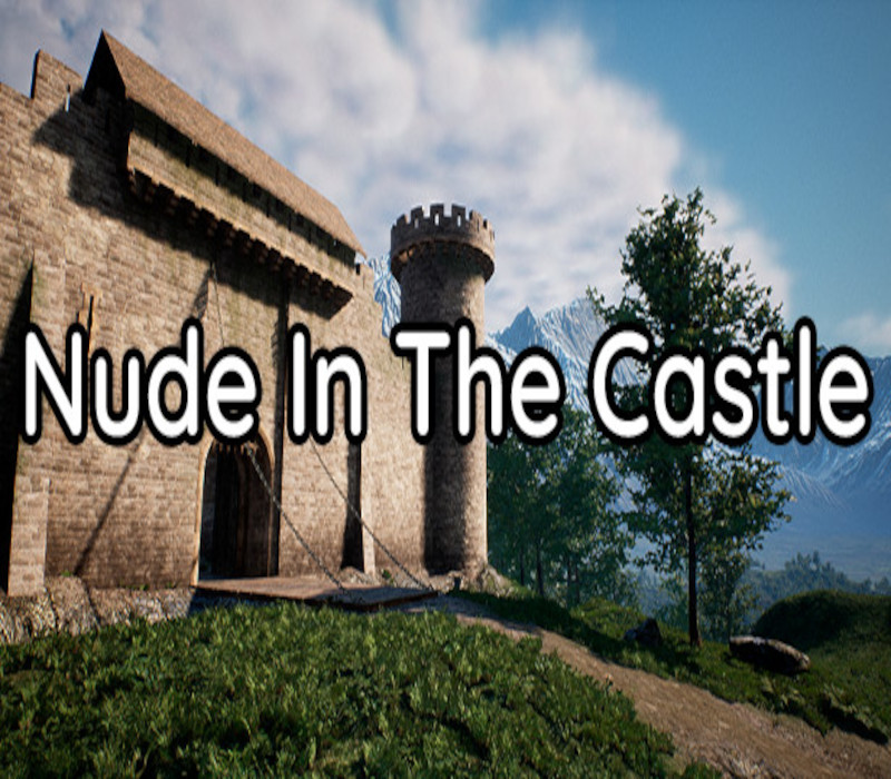 Nude In The Castle Steam CD Key Logo