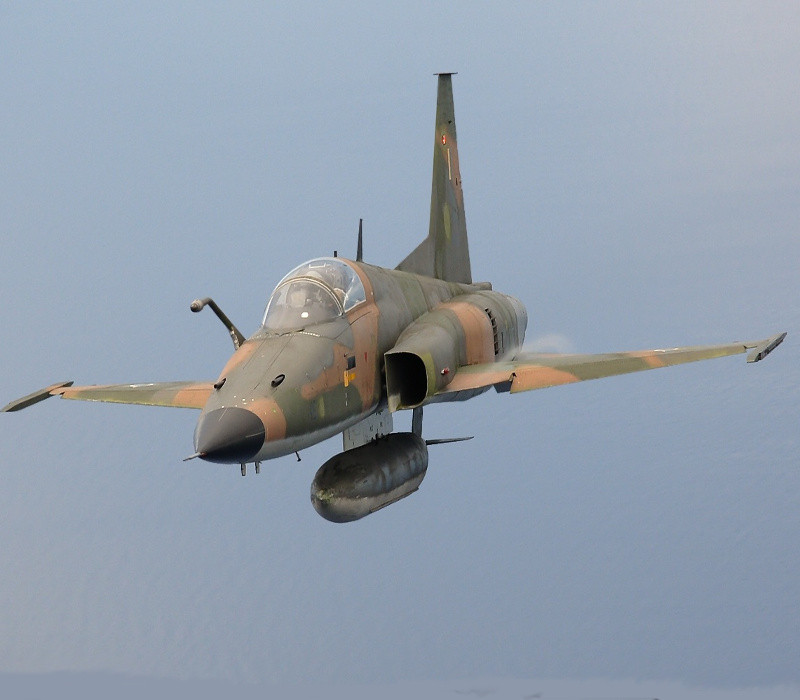 DCS: F-5E Tiger II Digital Download CD Key Logo