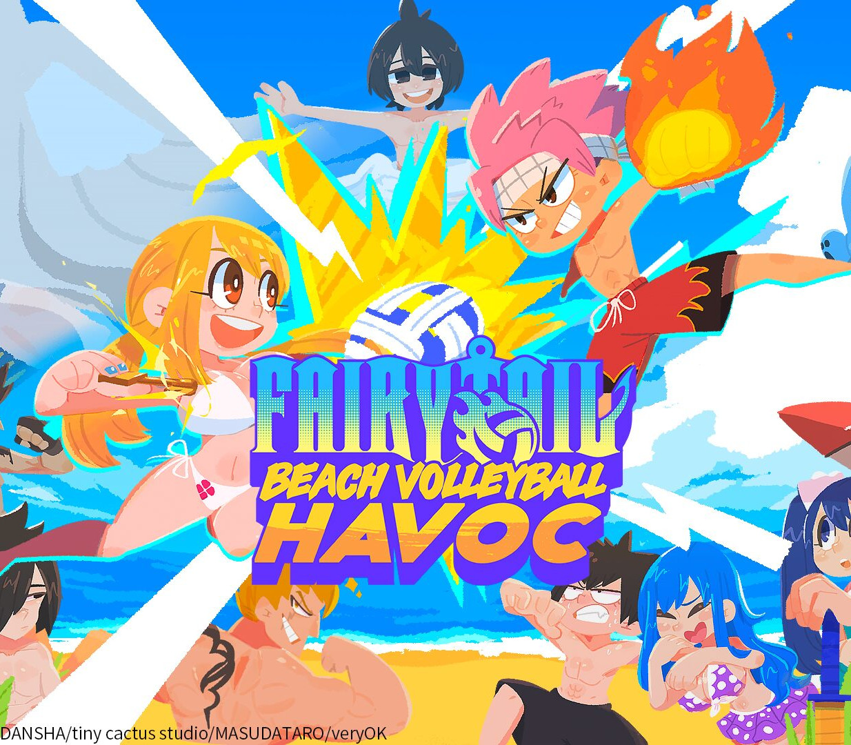 FAIRY TAIL: Beach Volleyball Havoc PC Steam CD Key Logo