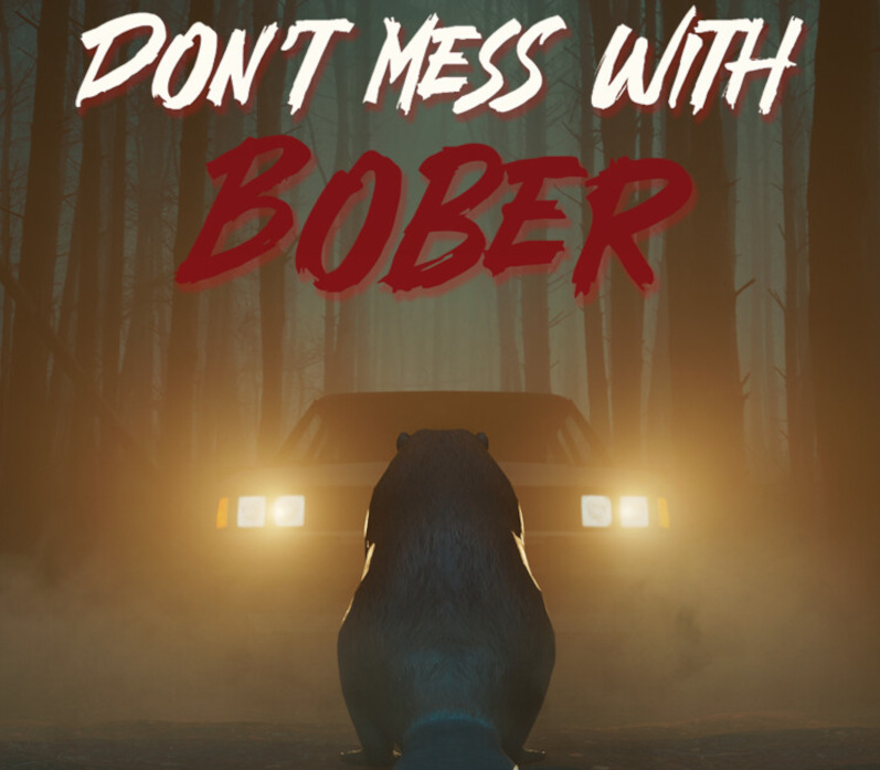 Don't Mess With Bober EU PS5 CD Key Logo