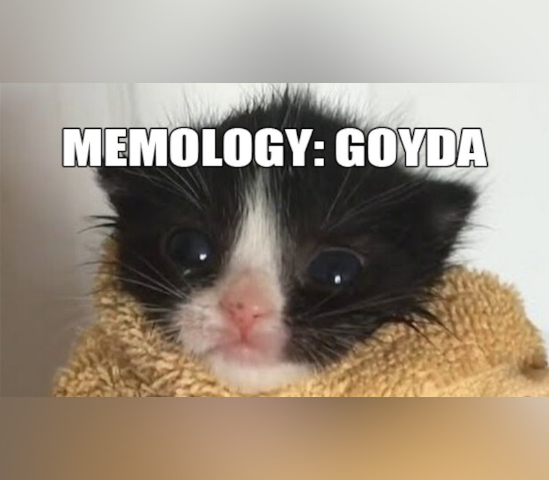 MEMOLOGY: GOYDA PC Steam CD Key Logo