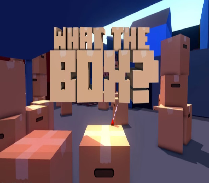 What The Box? Steam CD Key Logo