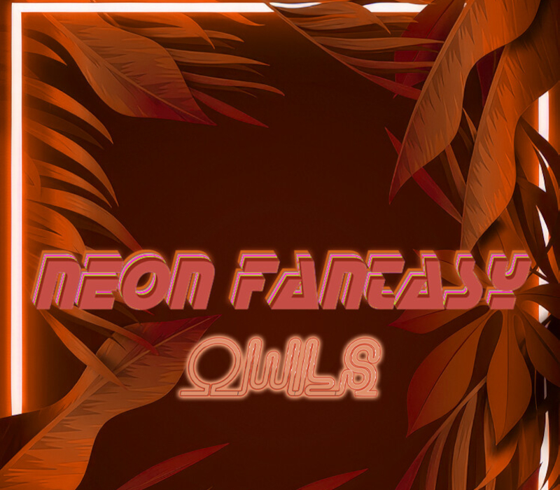 Neon Fantasy: Owls PC Steam CD Key Logo