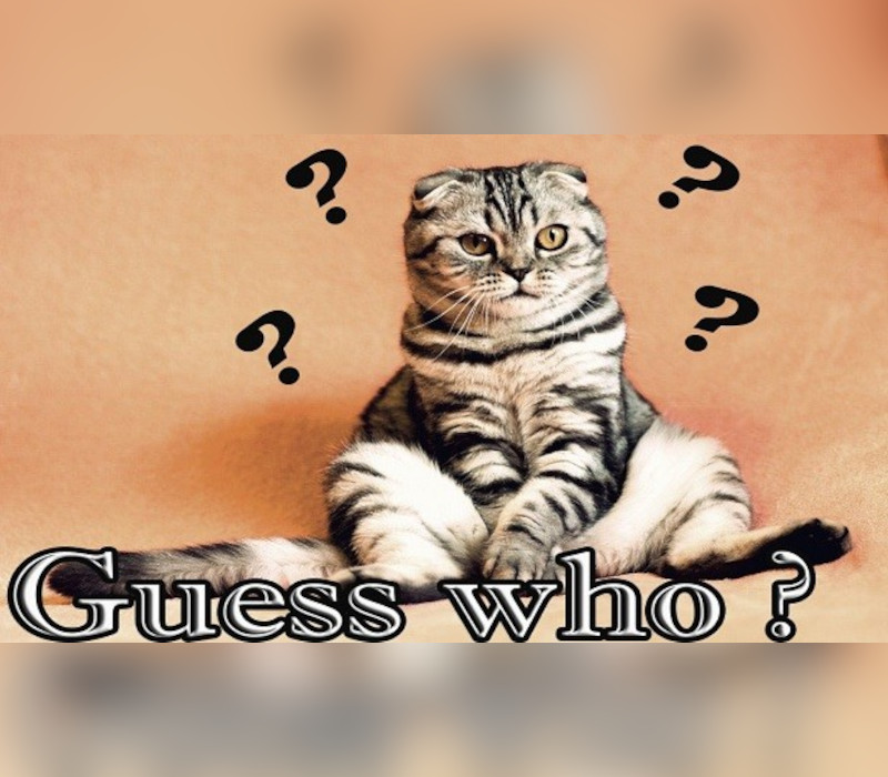 Guess who ? PC Steam CD Key Logo
