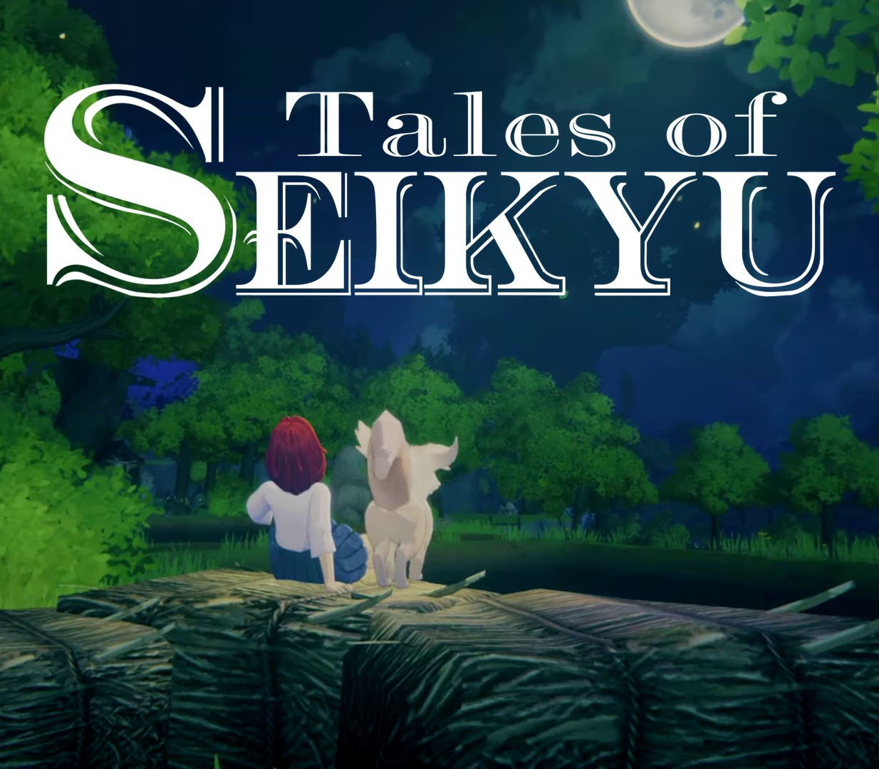Tales of Seikyu PC Steam CD Key Logo