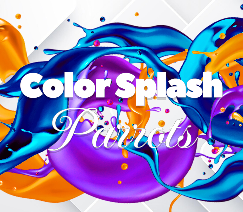 Color Splash: Parrots PC Steam CD Key Logo