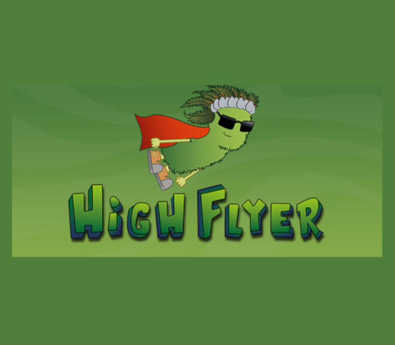 High Flyer PC Steam CD Key Logo