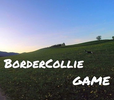 BorderCollie Game Steam CD Key Logo