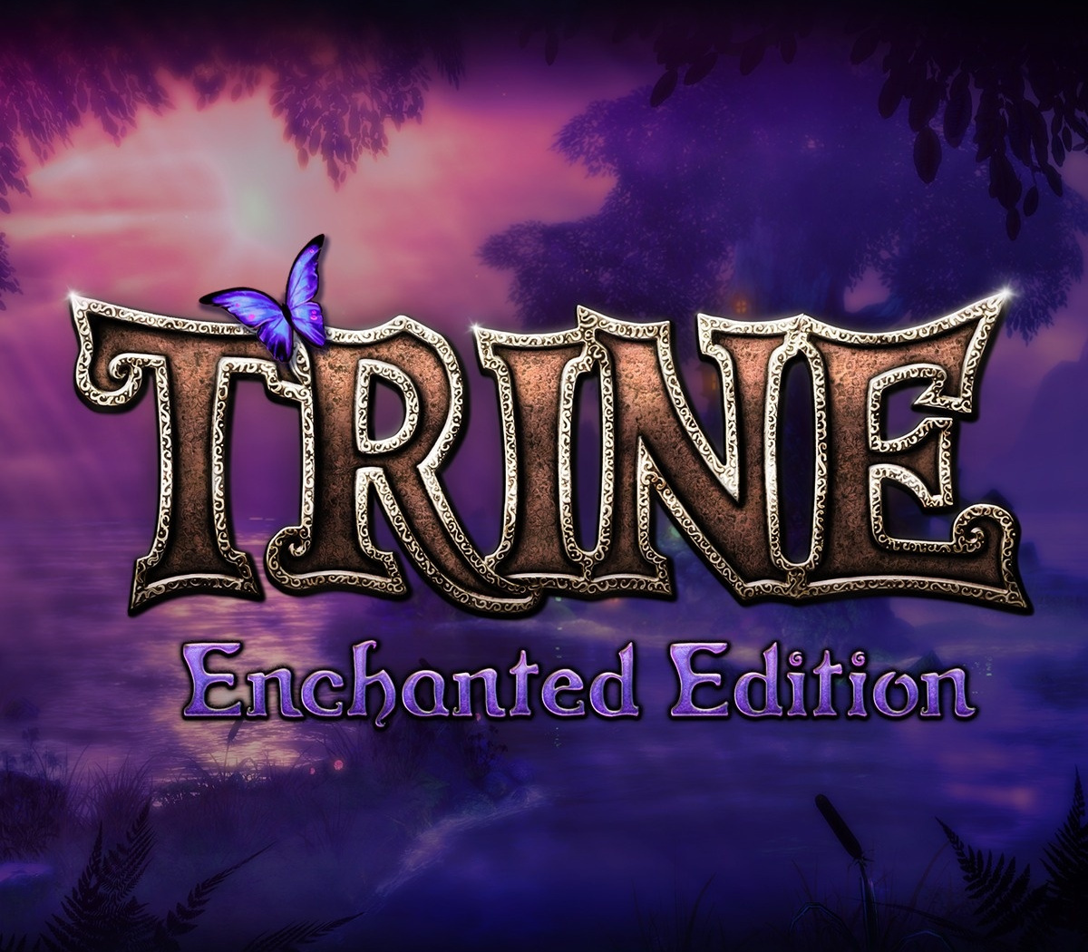 Trine Enchanted Edition Steam CD Key Logo