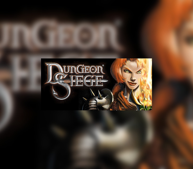 Dungeon Siege PC Steam CD Key Logo