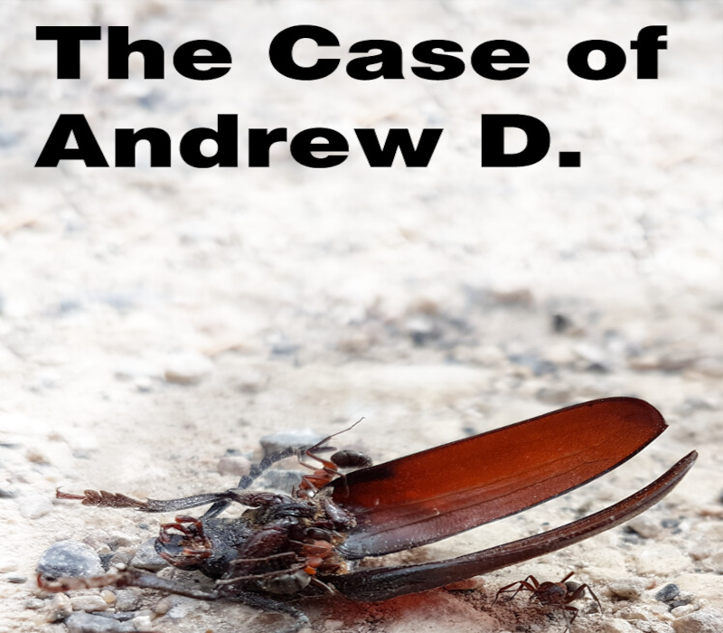 The Case of Andrew D. PC Steam CD Key Logo