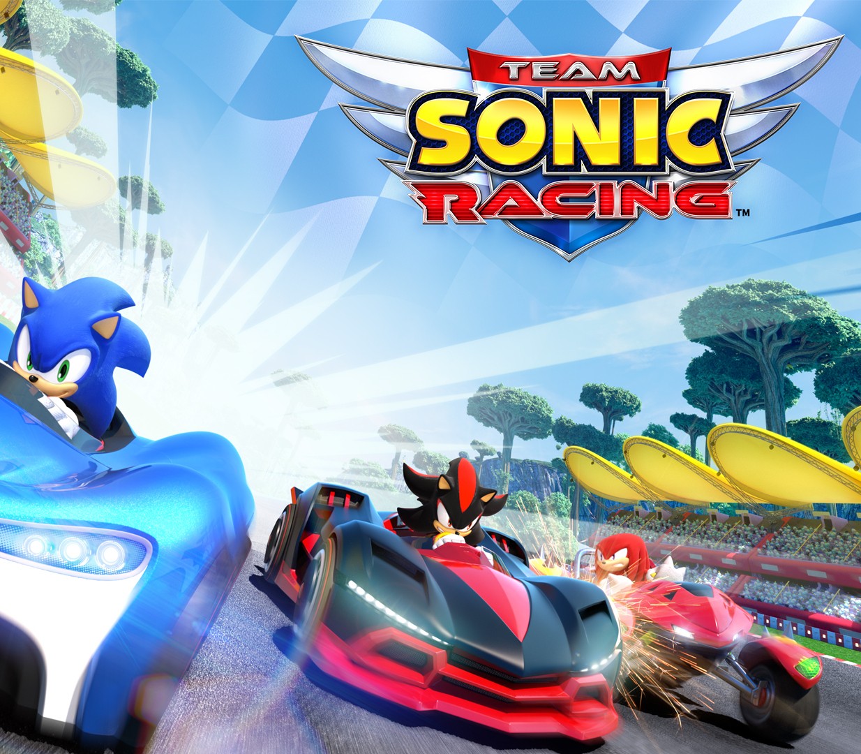 Team Sonic Racing Steam CD Key Logo
