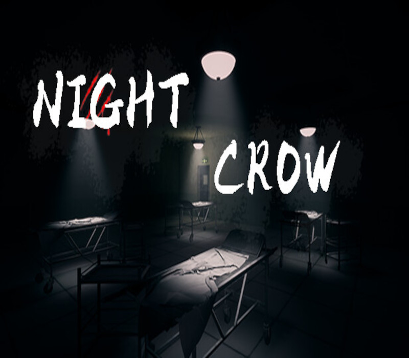 NIGHT CROW PC Steam CD Key Logo