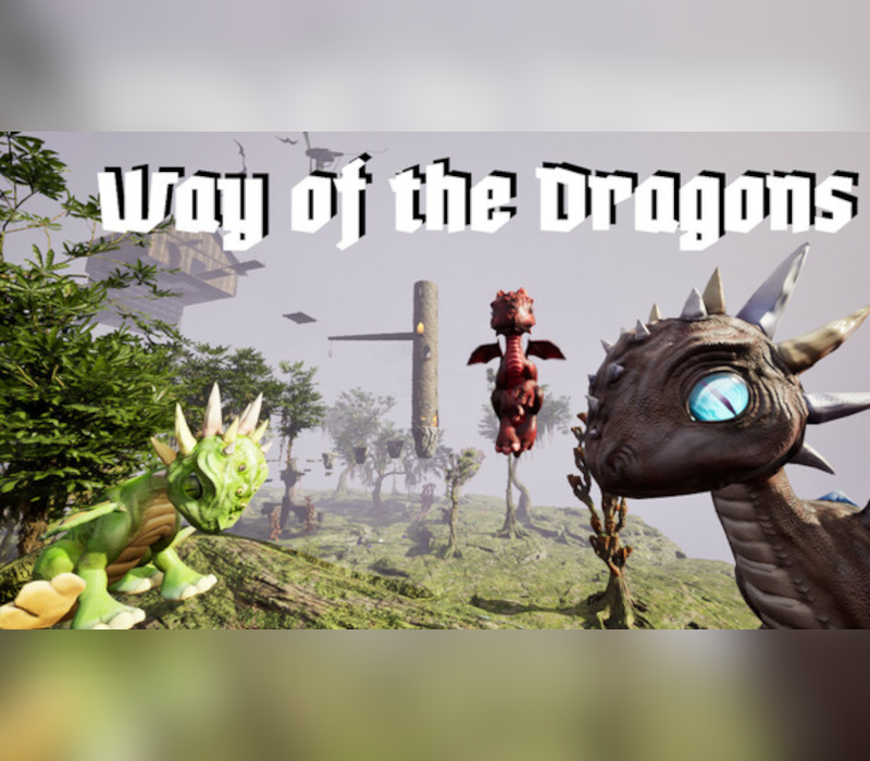 Way of the Dragons PC Steam CD Key Logo
