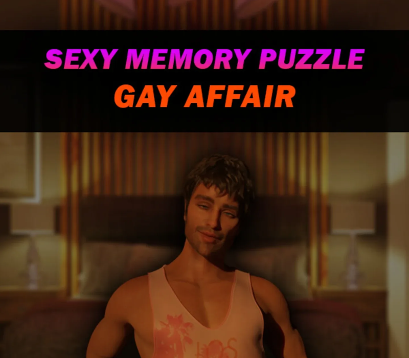Sexy Memory Puzzle - Gay Affair PC Steam CD Key Logo