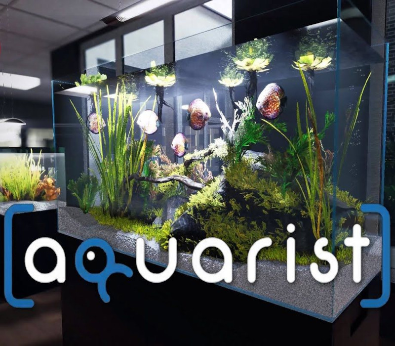 Aquarist EU PC Steam CD Key Logo