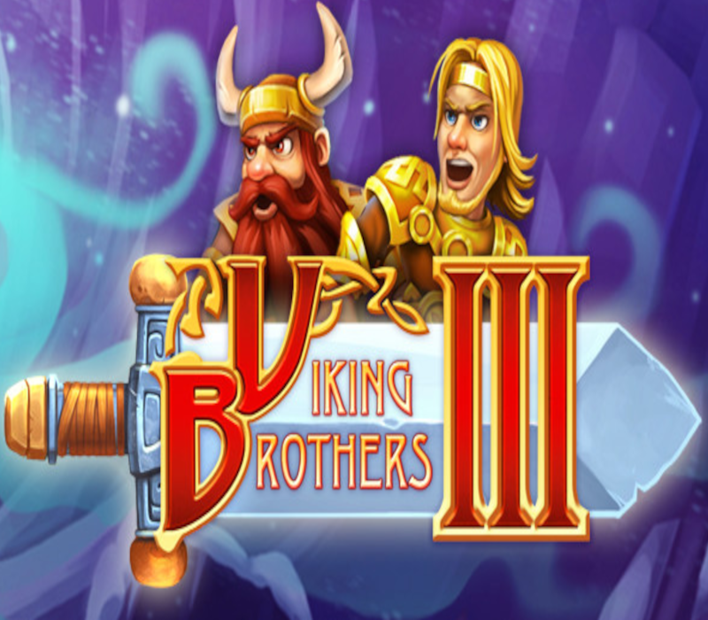 Viking Brothers 3 PC Steam CD Key Logo