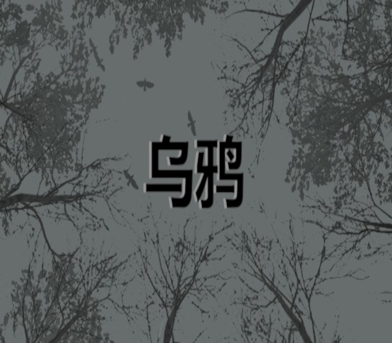 Crows - 乌鸦 PC Steam CD Key Logo