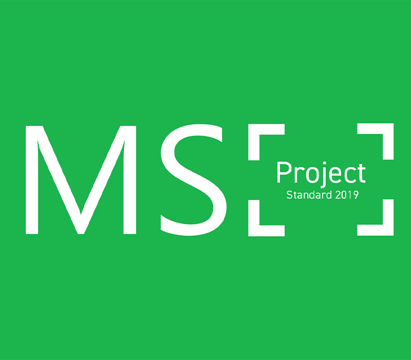 MS Project Standard 2019 CD Key Logo