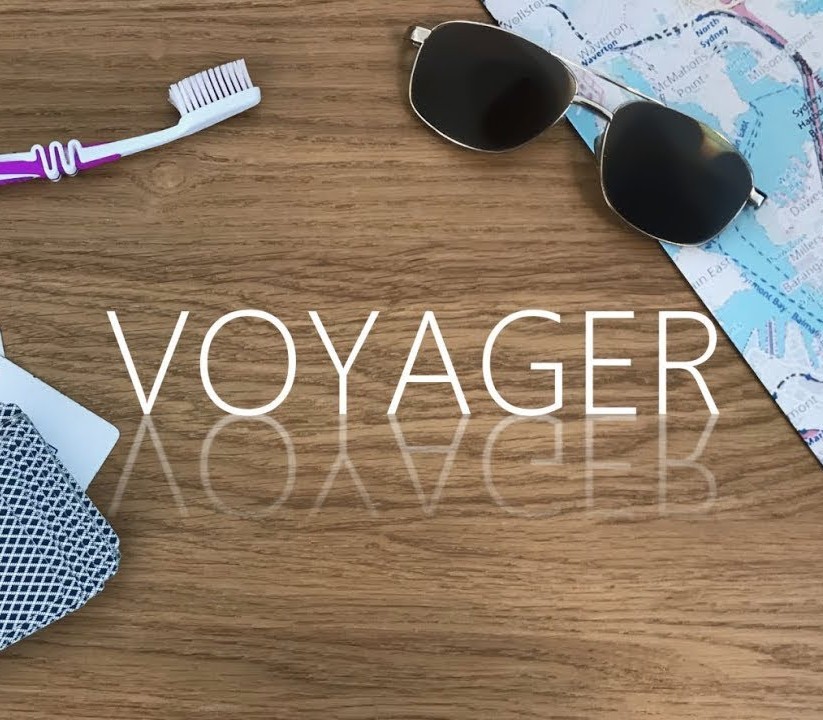 Voyager Steam CD Key Logo