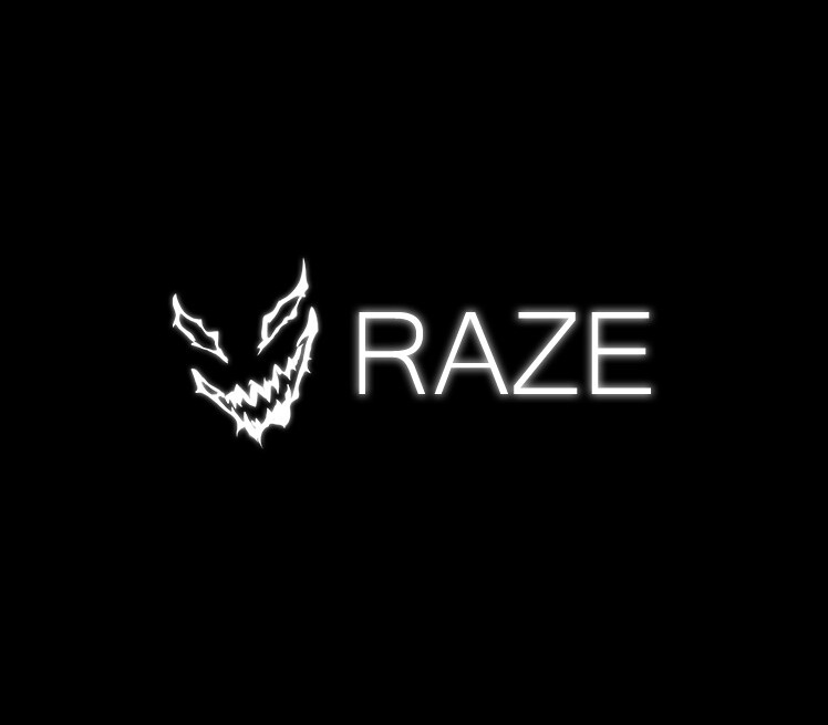 RAZE PC Steam CD Key Logo