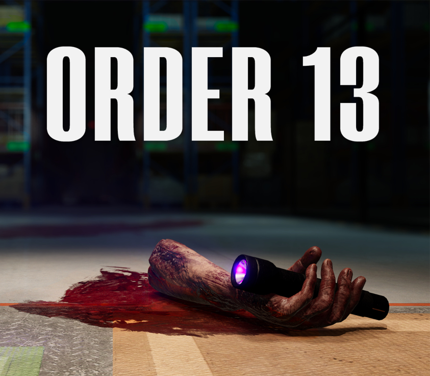 ORDER 13 EU PC Steam CD Key Logo