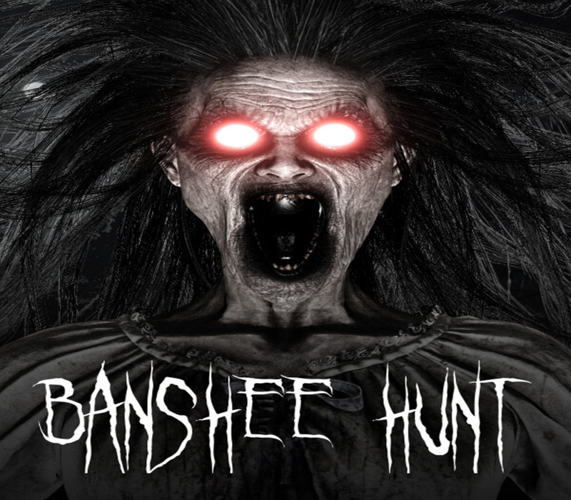 Banshee Hunt Steam CD Key Logo