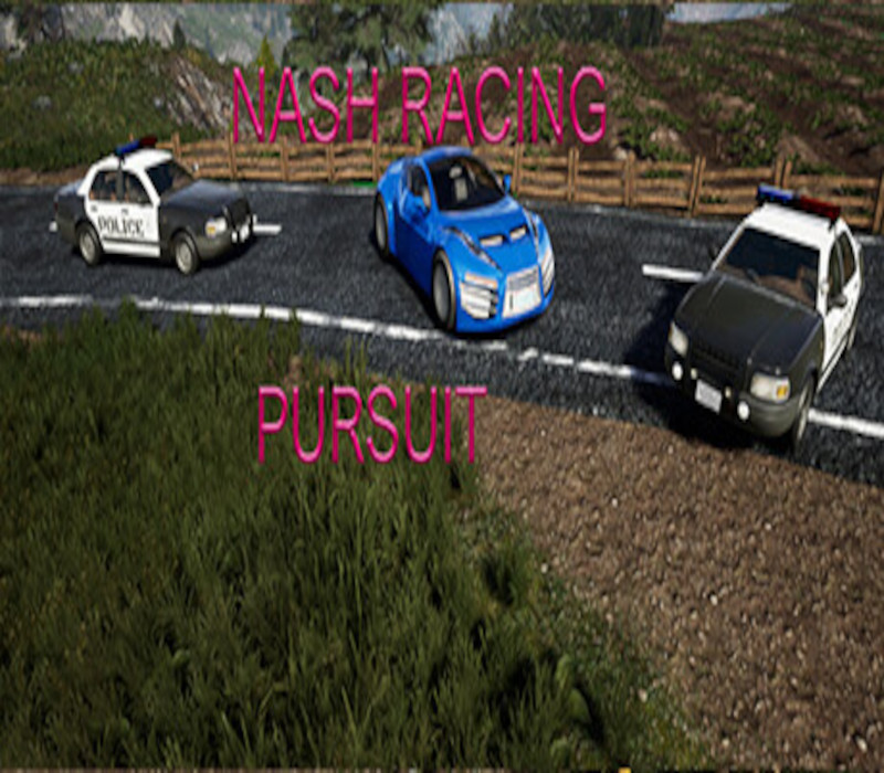 Nash Racing: Pursuit Steam CD Key Logo