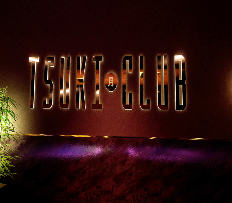 VR Paradise - Tsuki Club DLC Steam CD Key Logo