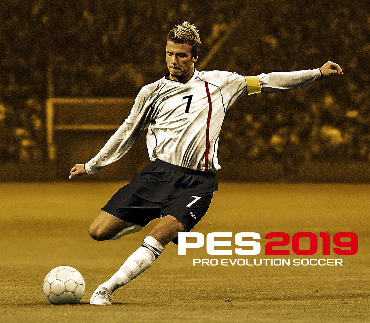 Pro Evolution Soccer 2019 Legend Edition Steam CD Key Logo