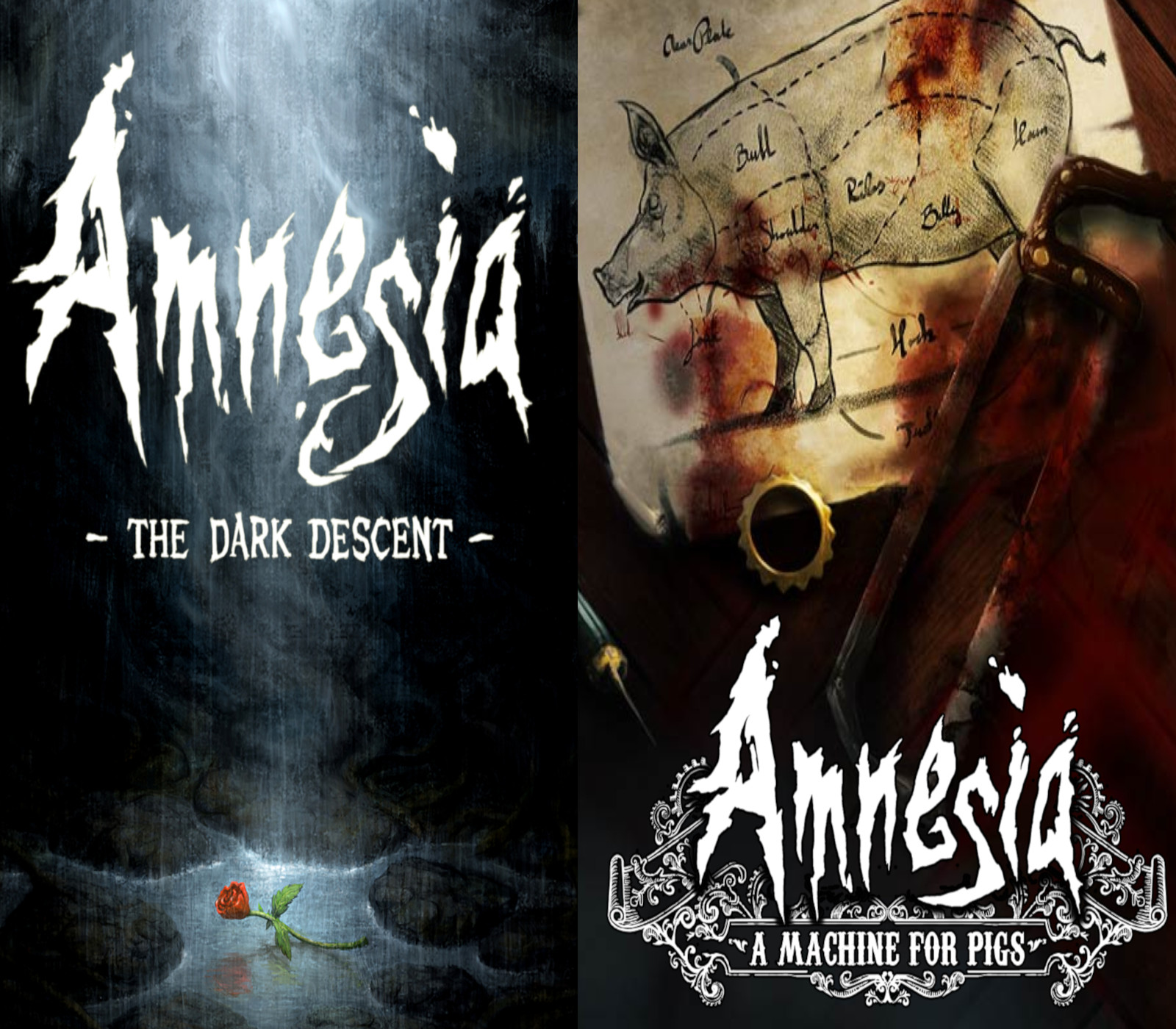 Amnesia: The Dark Descent + Amnesia: A Machine for Pigs Steam CD Key Logo