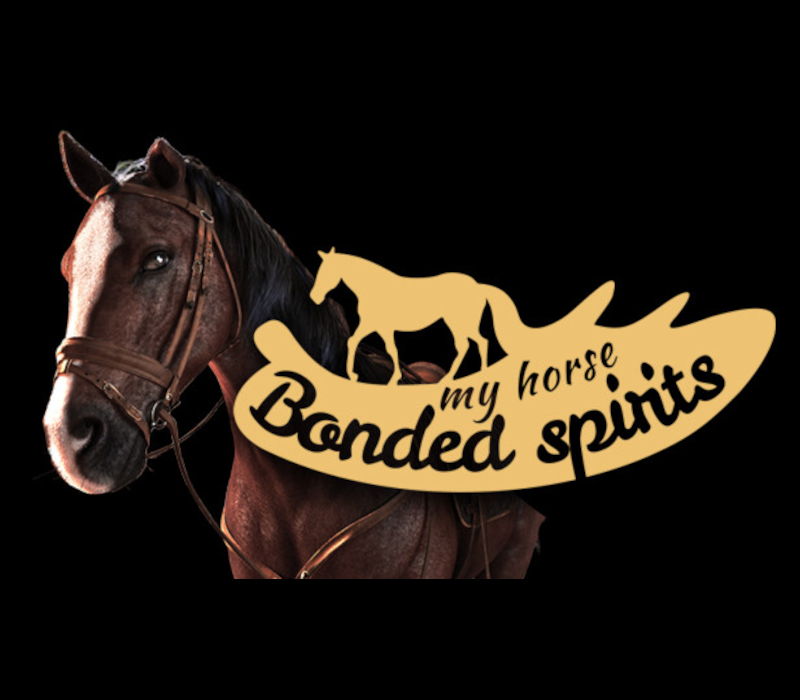 My Horse: Bonded Spirits PC Steam CD Key Logo