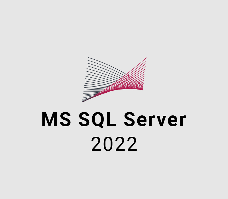 MS SQL Server 2022 CD Key Logo
