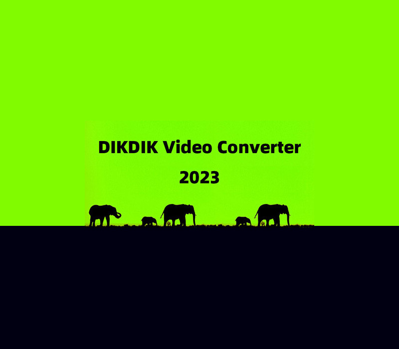 DIKDIK Video Converter Steam CD Key Logo