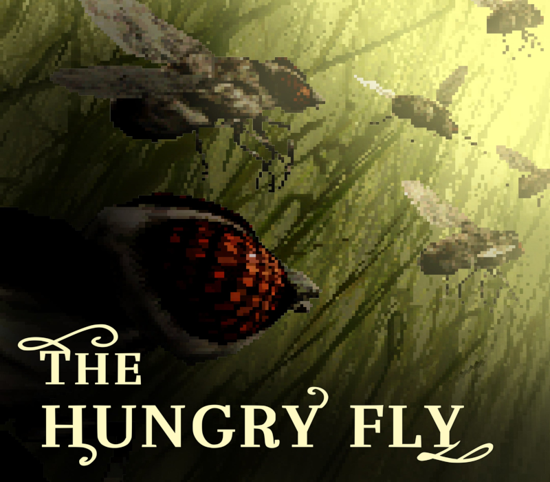 The Hungry Fly PC Steam CD Key Logo