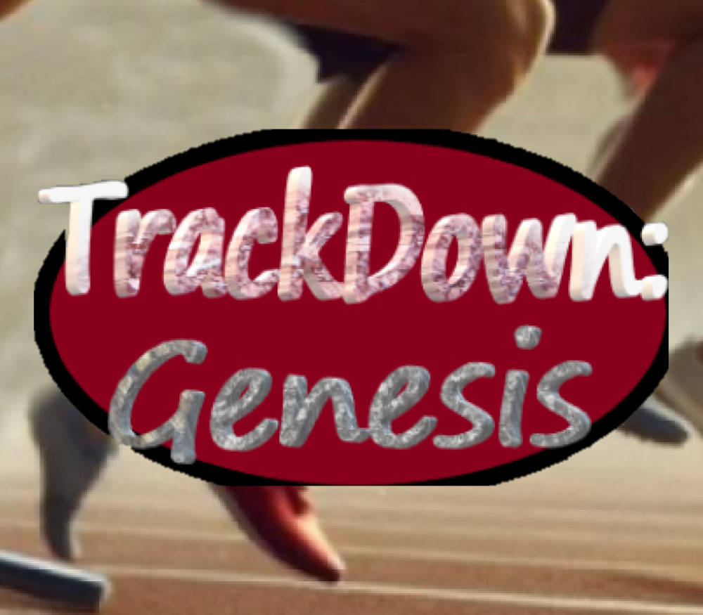 TrackDown: Genesis PC Steam CD Key Logo