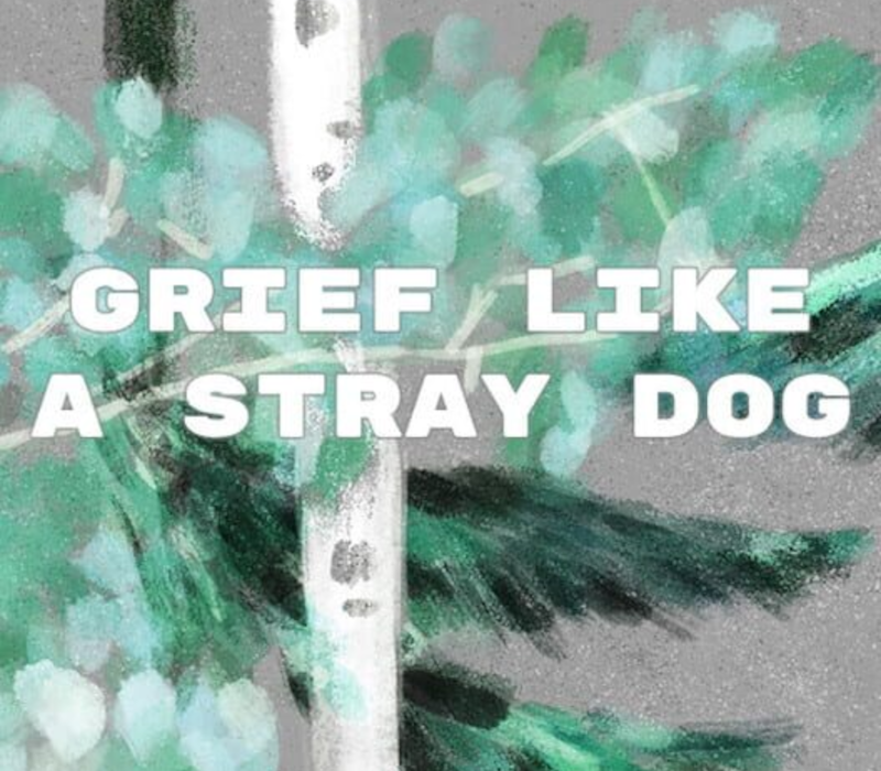 Grief like a stray dog PC Steam CD Key Logo