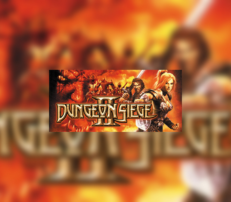 Dungeon Siege II PC Steam CD Key Logo