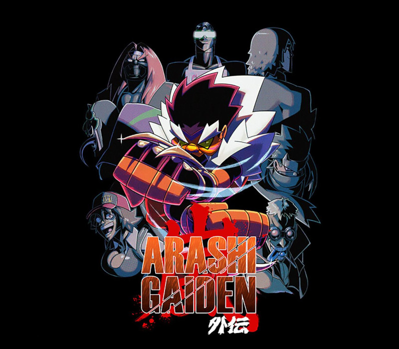 Arashi Gaiden PC Steam CD Key Logo