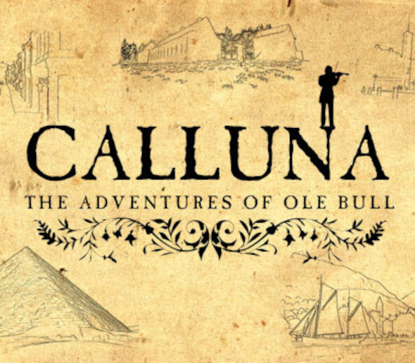 Calluna Steam CD Key Logo