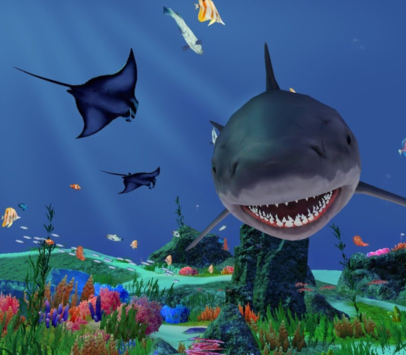 Fancy Fishing VR PC Steam CD Key Logo