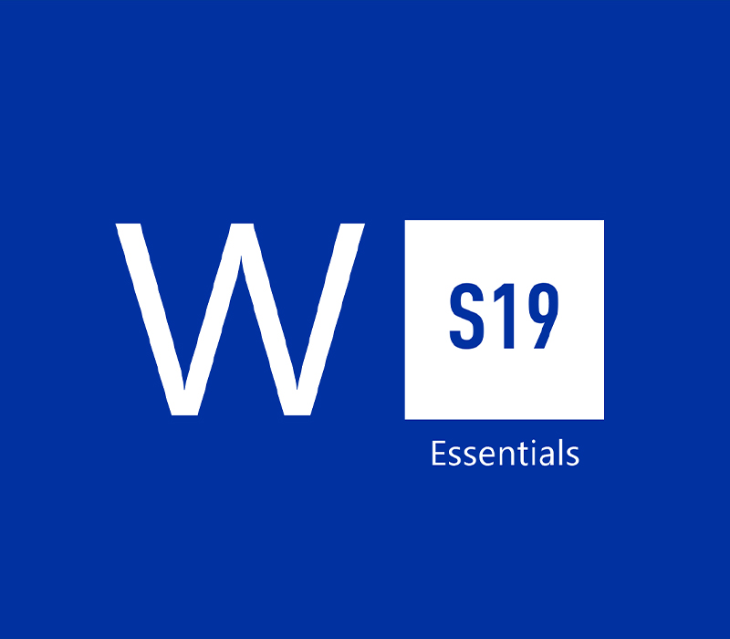 Windows Server 2019 Essentials CD Key Logo