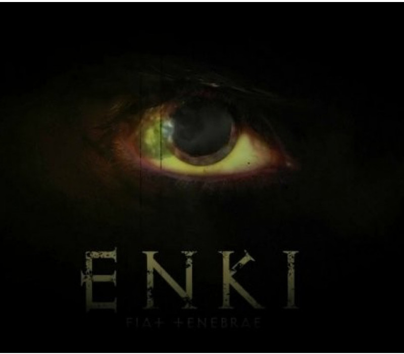 Enki Steam CD Key Logo