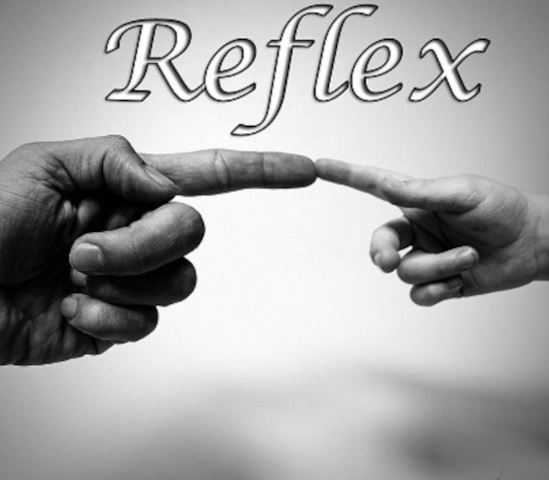 Reflex Steam CD Key Logo