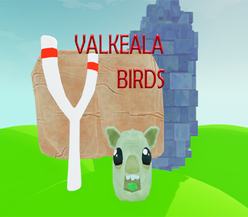 Valkeala Birds PC Steam CD Key Logo