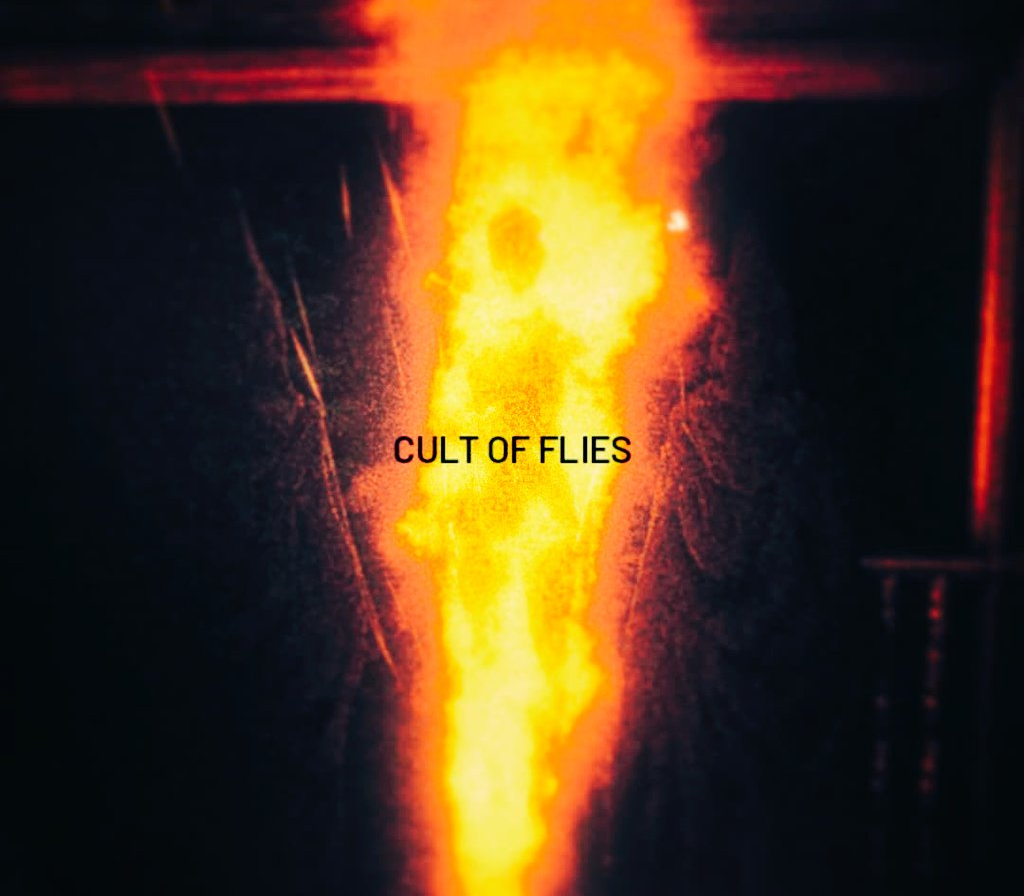 CULT OF FLIES PC Steam CD Key Logo
