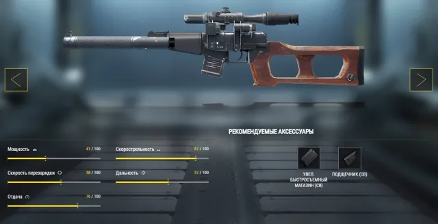 Marksman Rifle BSS